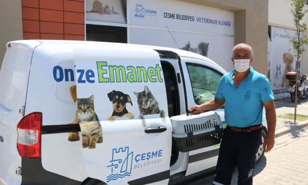 Çeşme Belediyesi’nden sokak hayvanlarına ücretsiz veterinerlik hizmeti