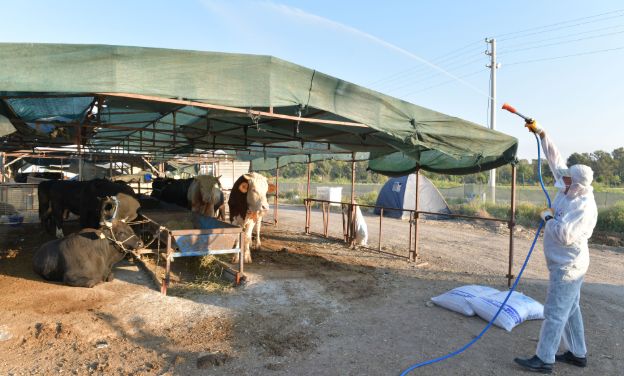 Çiğli Kurban Bayramına Hazır