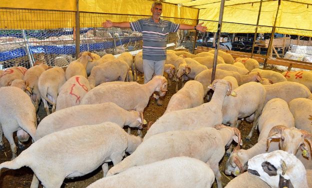 İzmir Kurban Bayramı’na hazır