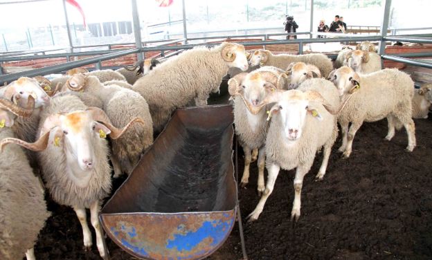 Karşıyaka Kurban Bayramı’na hazır