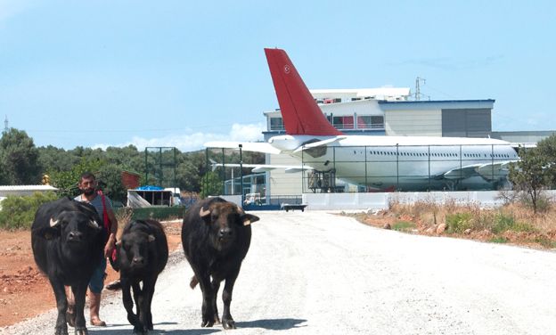 Manda Yuva yaptı okul bahçesine