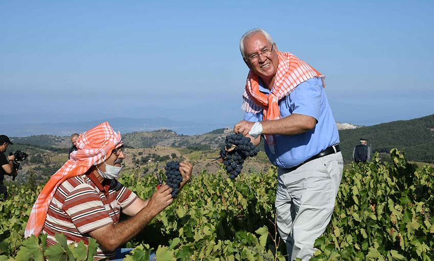Kavacık Üzüm Festivali bağbozumuyla yaşatıldı