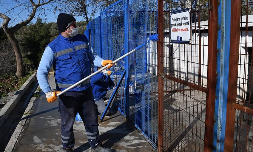 Kuşadası’nın can dostları yalnız değil