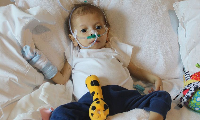 Kendi minik, mücadelesi büyük