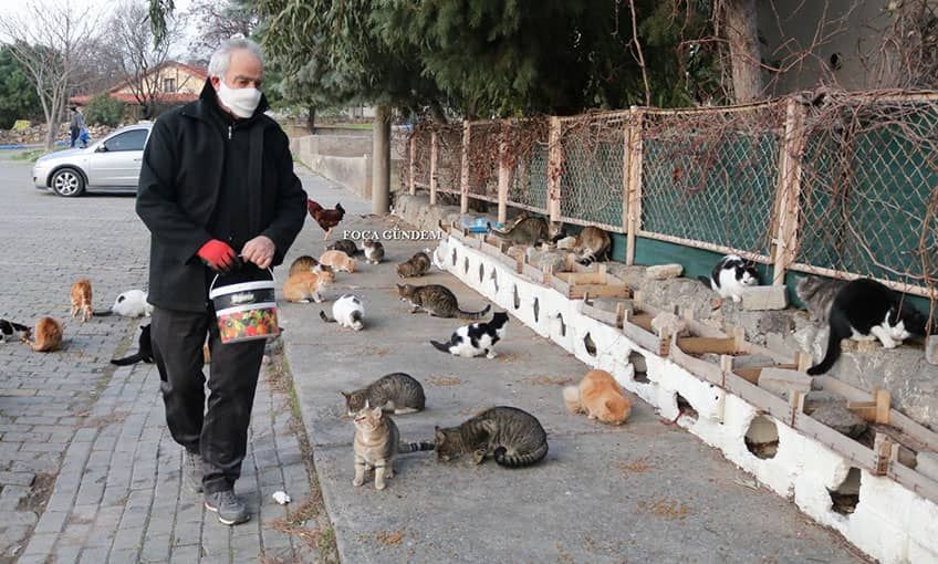 Foçalı turizmciden pandemi mağduru kedilere barınak