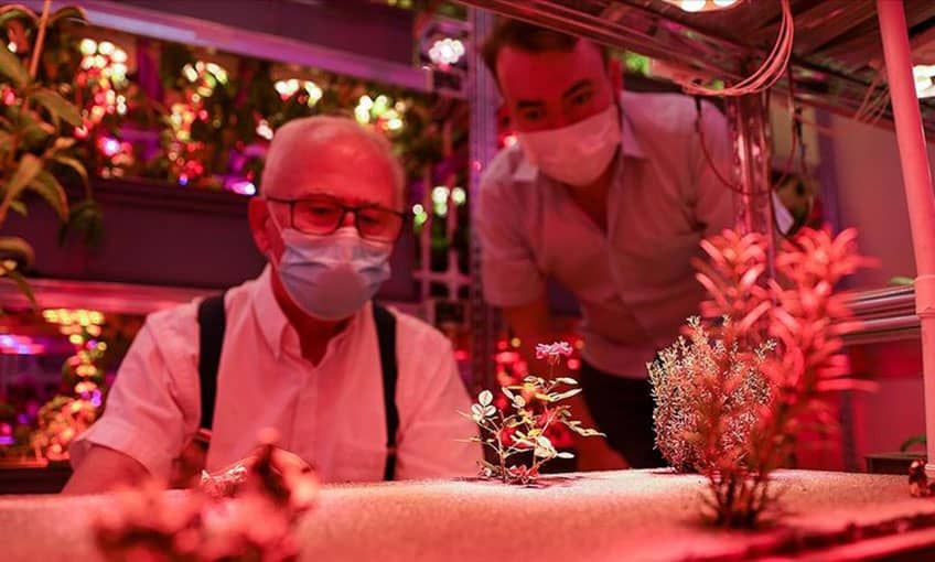 ‘Akıllı Bahçe’ ödüle doymuyor