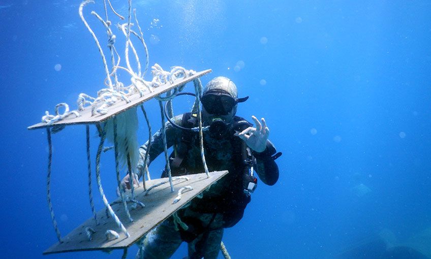 Ege Bölgesi Deniz Turizmi yeni sezona hazır