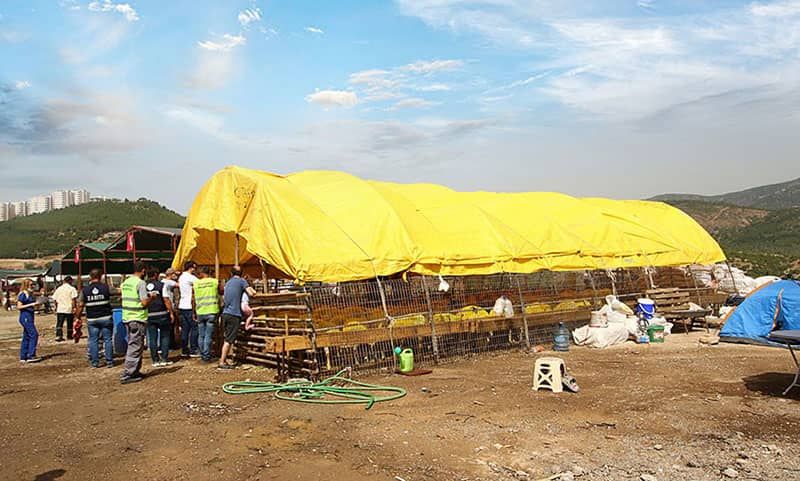 Kurban satış yeri kurban bayramı'na hazır
