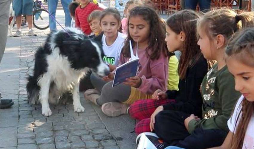 Köpeklerle kitap okudular