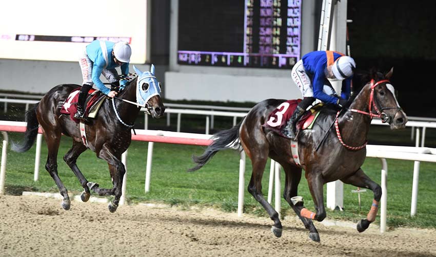 Kitvak'ın şampiyonu Dragon Fire