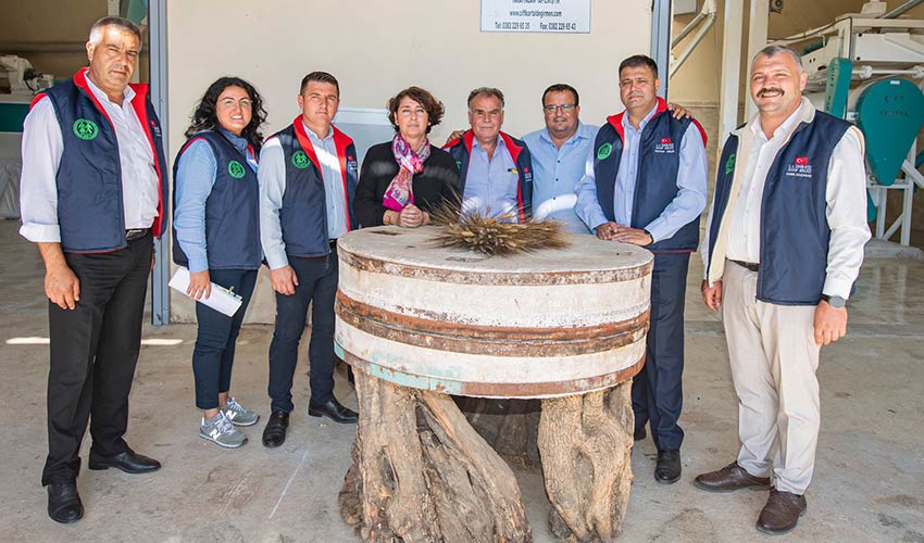 Zeytinliklerimizi korumalıyız