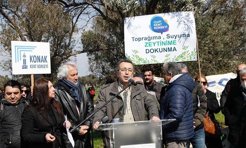 Zeytini en iyi beraber büyüdüğü insanlar savunur