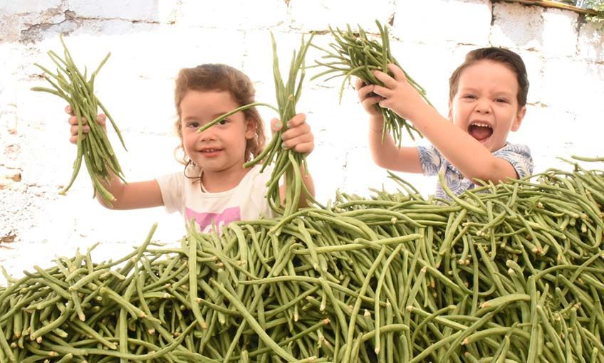 Karakızlar’da Börülce Festivali