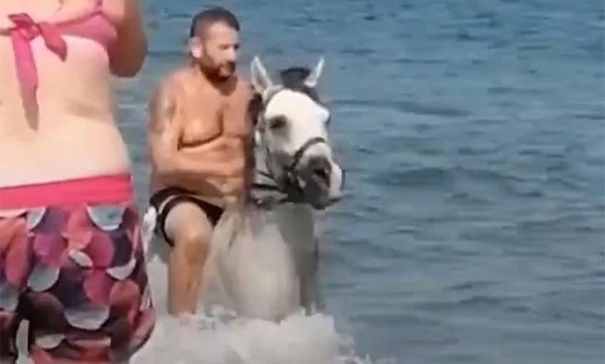 At ile denize girdi