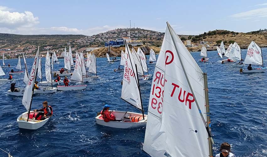Deniz beyaz kelebek tarlası gibi