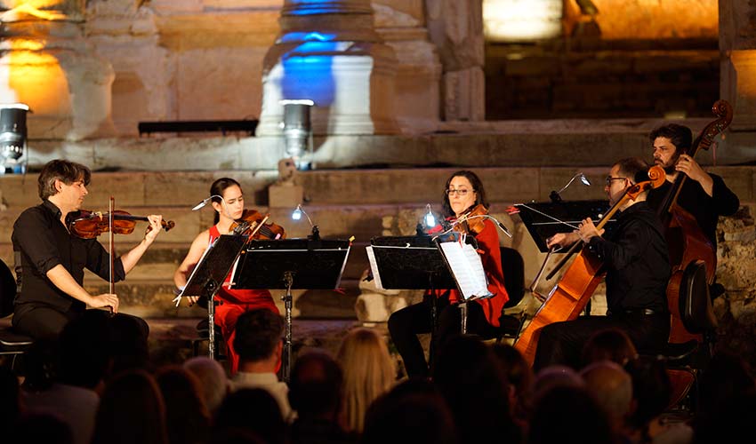 Wiener Kamersymphonie Farkı