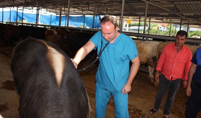 Karşıyaka Kurban Bayramı’na hazır