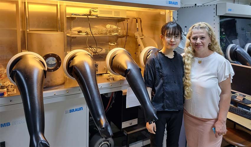 Örnek akademik işbirliği