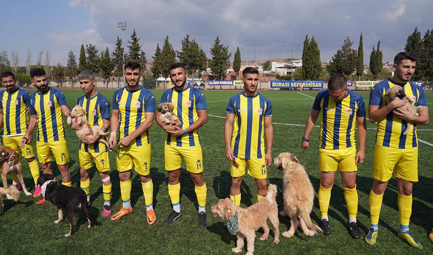 Maça sahiplendirilmeyi bekleyen köpeklerle çıktılar