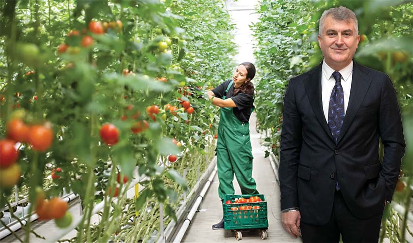 Ağrı'da domates, Van'da muz, Erzurum'da çilek imkânsız değil