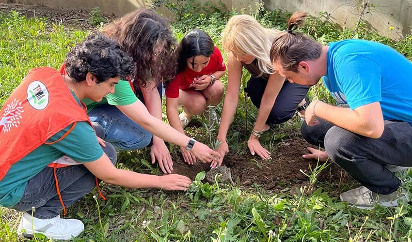Egeli gençler zeytin fidanlarını toprakla buluşturdu