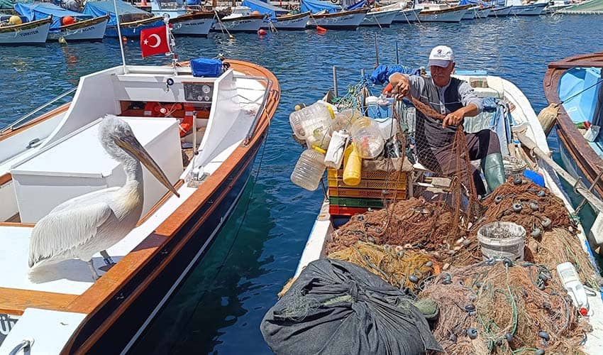 Vatandaşla dost, balıkçıyla arkadaş