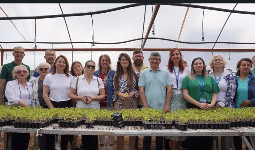 50 bin adet fidan dağıttı