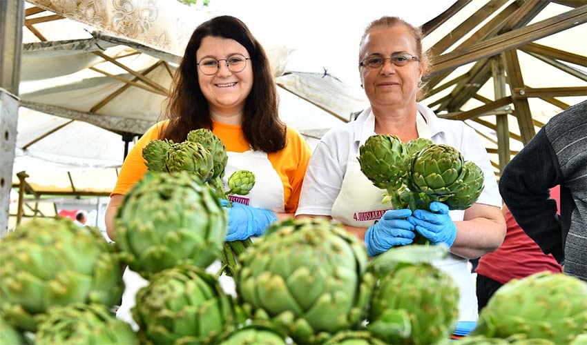 Urla Enginar Festivali için geri sayım başladı