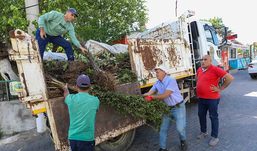 Buca'dan üreticiye fidan desteği