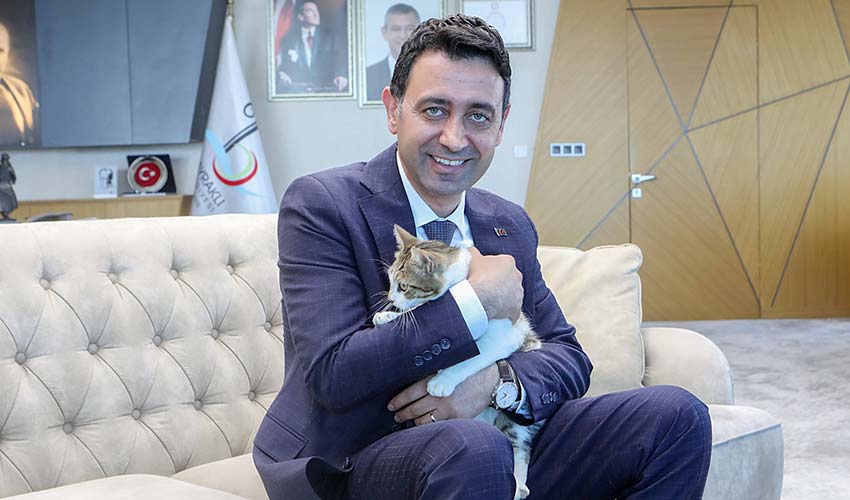 Yaralı kediye sahip çıktı