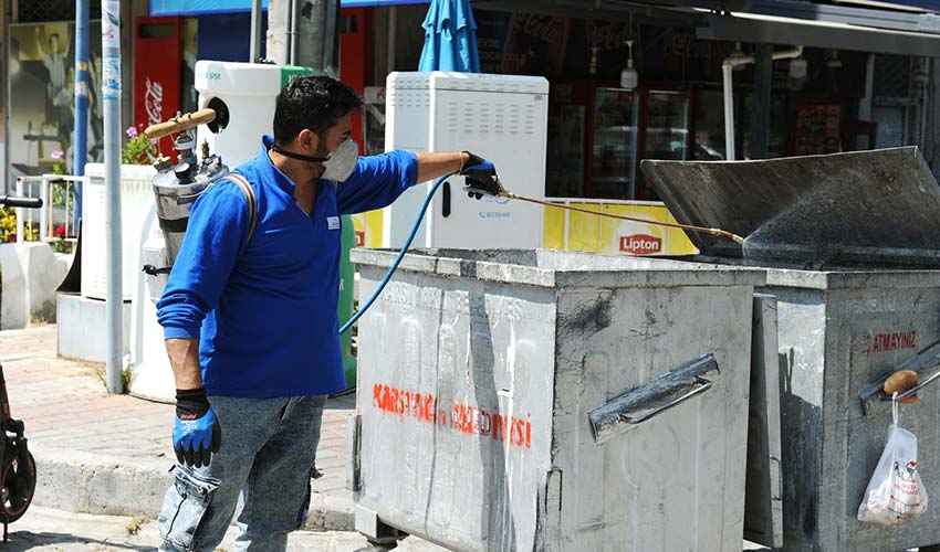 Haşerelere karşı ilaçlama seferberliği!