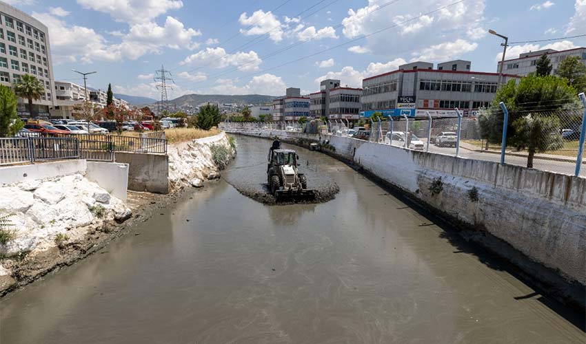 Kokuya karşı mücadelenin etkileri bu yaz görülecek