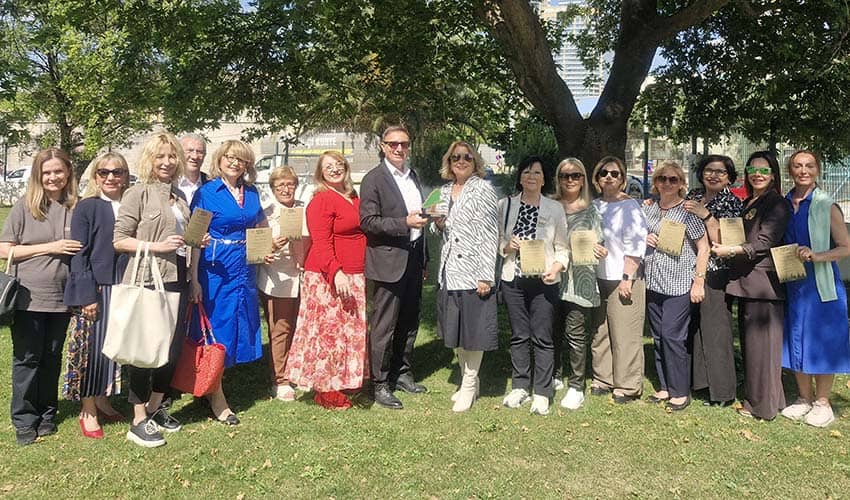 Lion’lardan ikinci orman