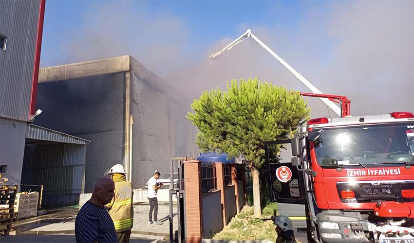 355 yangının 325'i başlangıç aşamasında söndürüldü