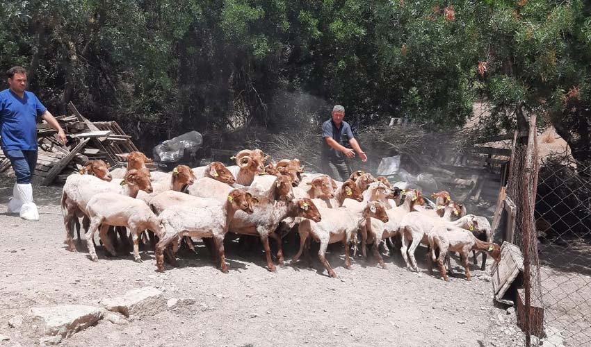 İzmirli üreticiye bir destek daha