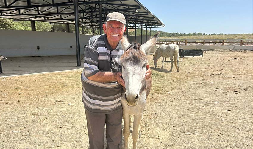 Sahipsiz kediler için anlamlı bağış