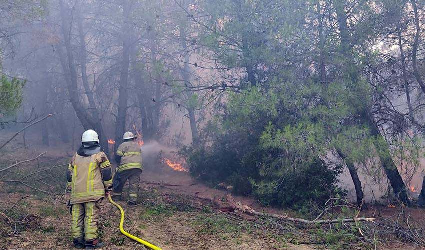 İzmir İtfaiyesi yangınlar için seferber oldu