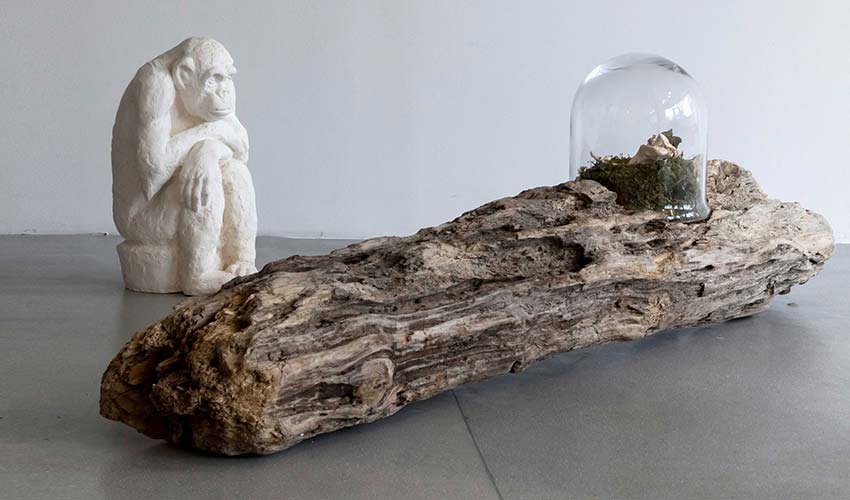 Arkas Sanat Alaçatı, 13 Temmuz'da kapılarını açıyor