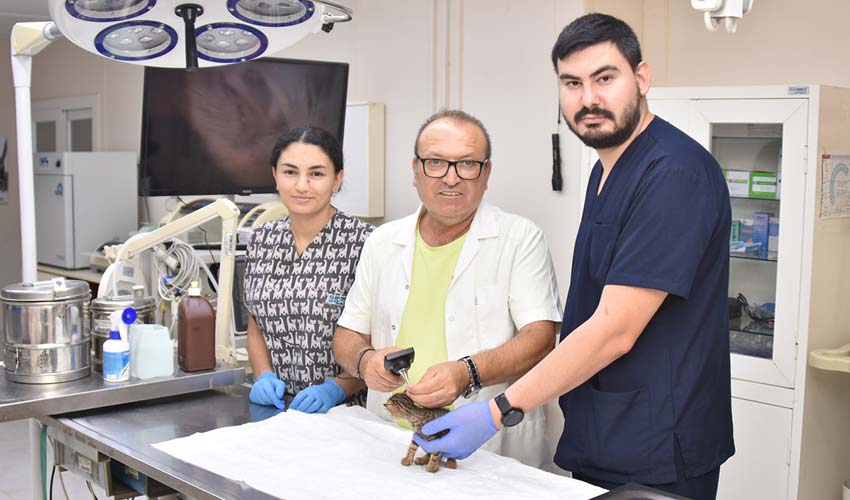 Öldürme yasasına karşıyız