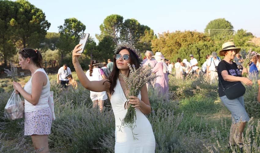 Lavanta Festivali 9. kez