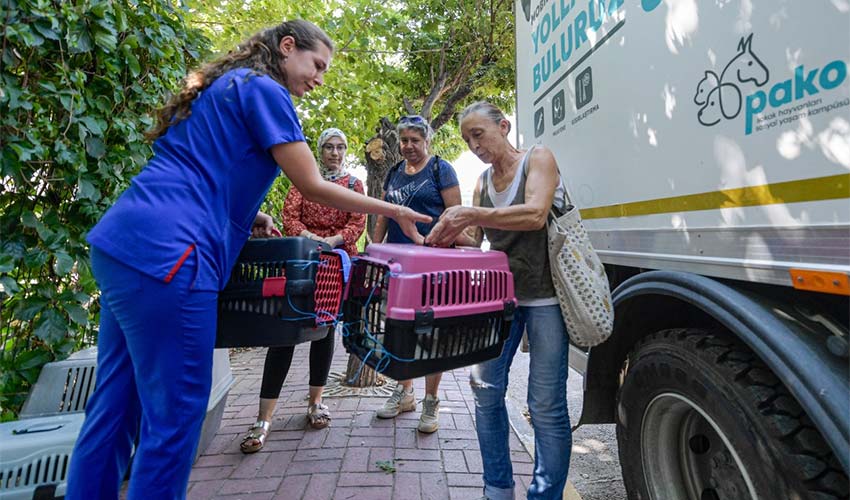 Kısırlaştırma çalışmalarına hız verdi