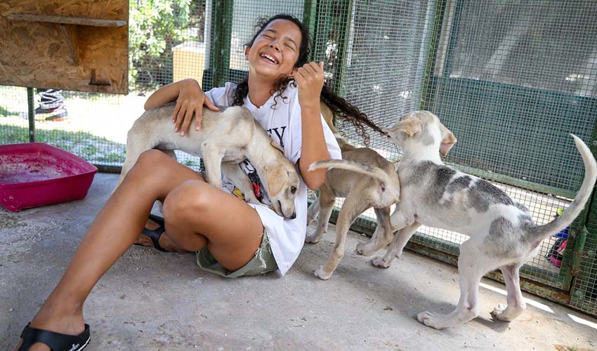 Karşıyaka’da can dostlar yeni yuvalarına kavuştu