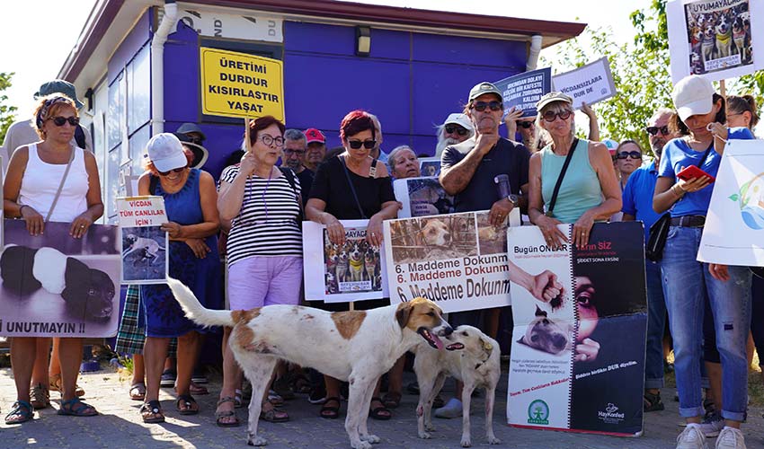 Katliam Yasası’na hayır dedi