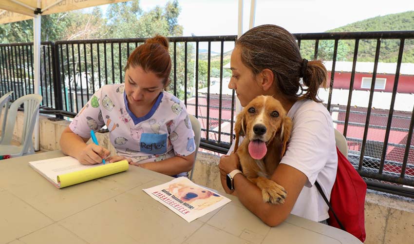 Karşıyaka can dostlara sahip çıkıyor
