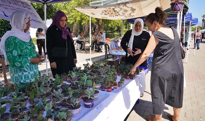 Hem tohumlar hem kadınlar güçleniyor