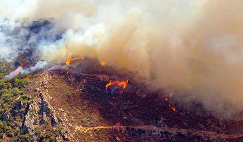 Risk gördüğümüz her noktada teyakkuzda