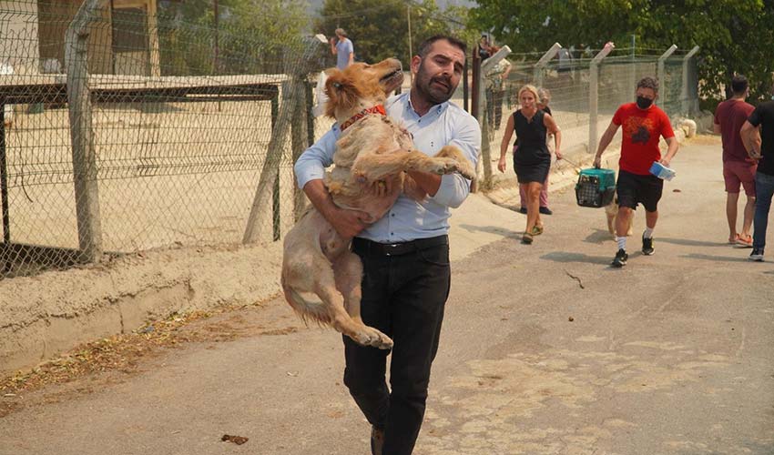 Karşıyaka’nın ciğerleri yanıyor!