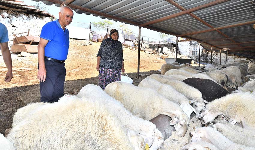 Yangından etkilenen köylerin yaralarını sarıyor