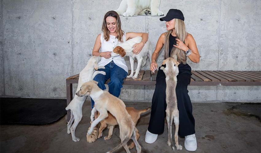 Seren Serengil’den yangından kurtarılan can dostlara destek ziyareti