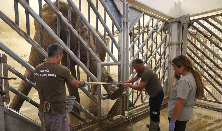 İyi ki doğdun Winner